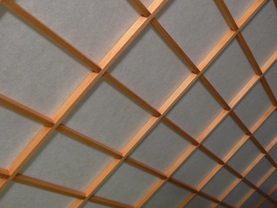 Photography by jennetaken for DesignCrowd (Community Contests) | Design #9023847