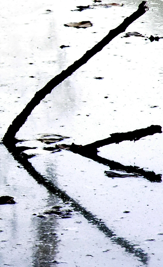 Photography by AsierReisa for DesignCrowd (Community Contests) | Design #9025184