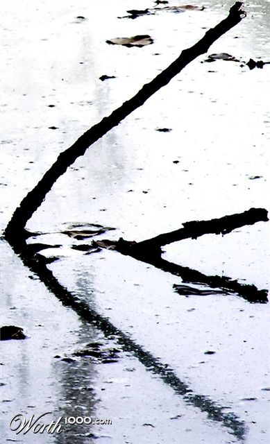 Photography by AsierReisa