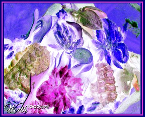 Photography by Evelyn7