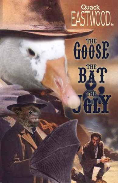 Photoshop Design by JonDoe69 for DesignCrowd (Community Contests) | Design #9021132