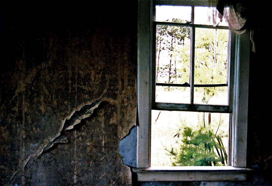 Fotografía por northman para DesignCrowd (Community Contests) | Diseño #9022308