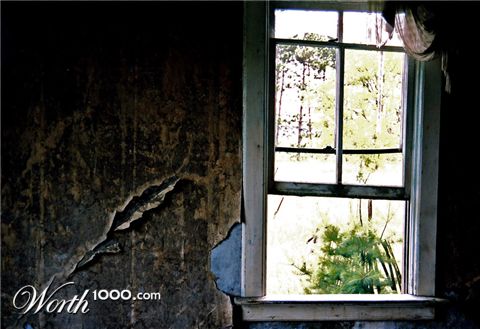 Photography by northman