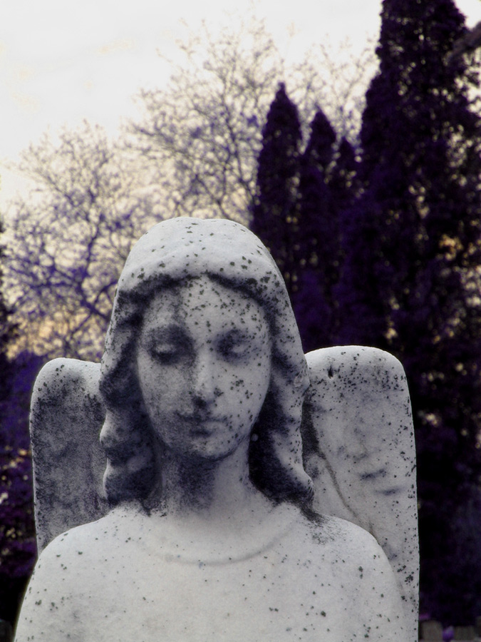 Photography by Iamstitchy for DesignCrowd (Community Contests) | Design #9022311