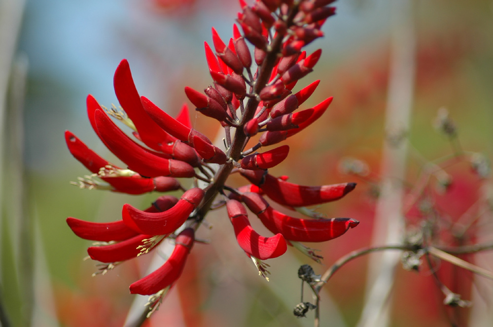 Photography by Larvice for DesignCrowd (Community Contests) | Design #9020136