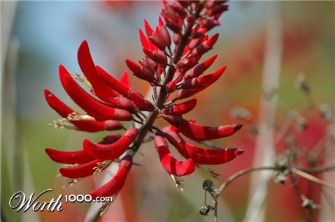 Photography by Larvice