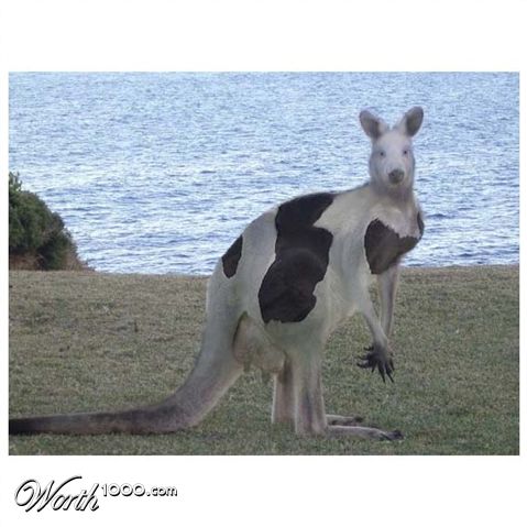 Photoshop Design by eckdeck