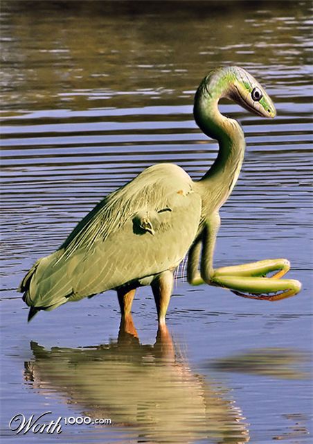 Photoshop Design by Scapin