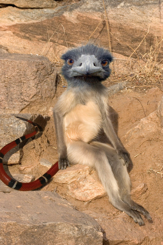 Diseño de Photoshop por swemax para DesignCrowd (Community Contests) | Diseño #9020243