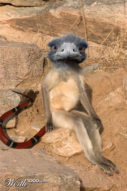 Photoshop Design by swemax