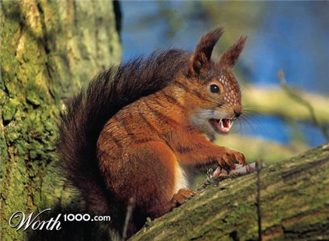 Photoshop Design by hechtal