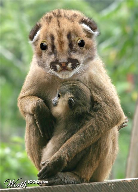 Photoshop Design by zynnya