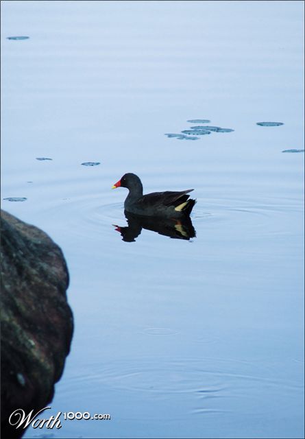 Photography by Ausgixxer