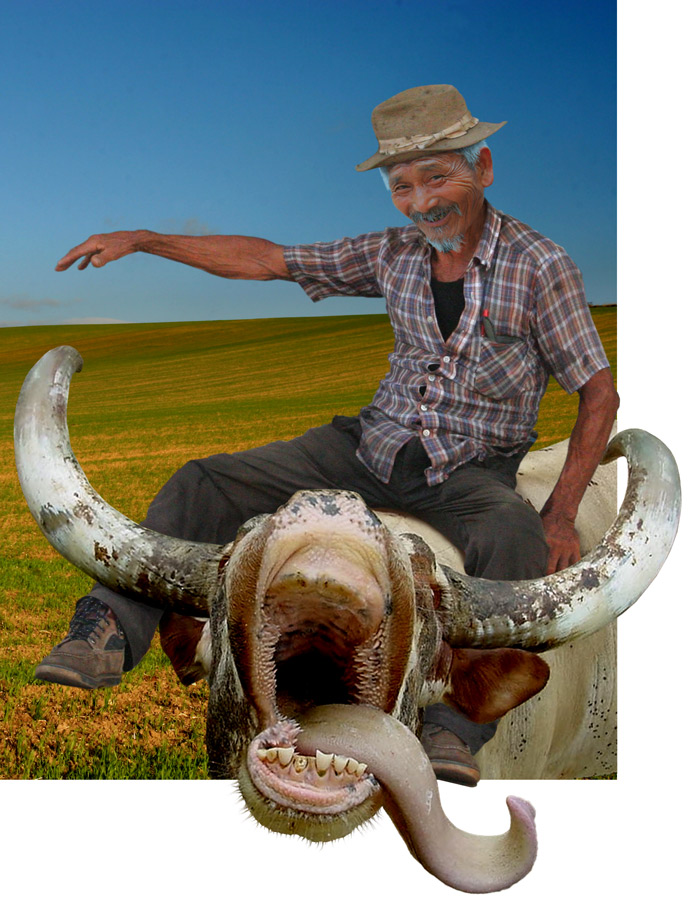 Diseño de Photoshop por HDoyer para DesignCrowd (Community Contests) | Diseño #9024441