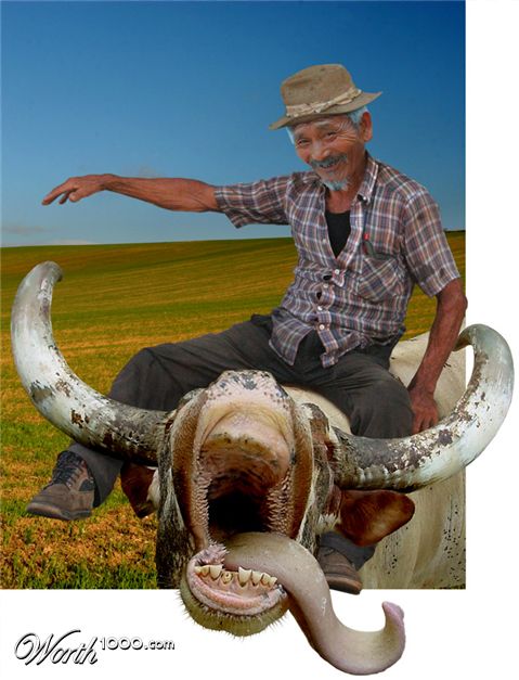 Photoshop Design by HDoyer