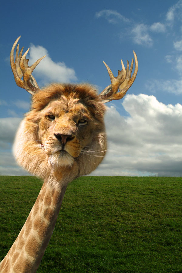 Photoshop Design by metalfoley for DesignCrowd (Community Contests) | Design #9020275