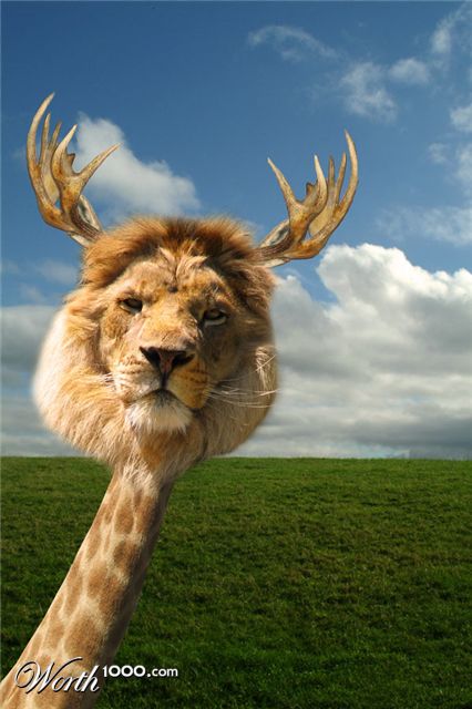 Photoshop Design by metalfoley