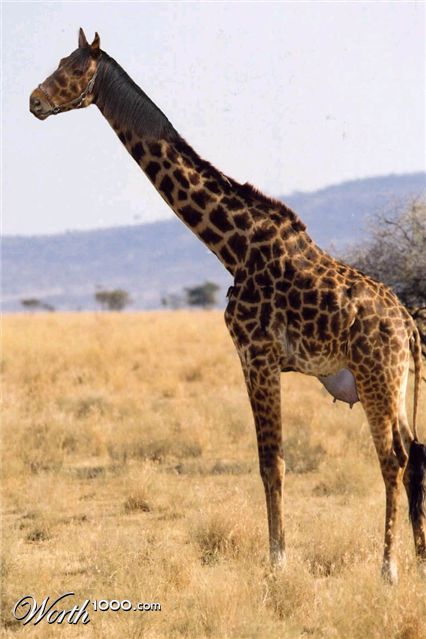 Photoshop Design by PeterAAAWelch