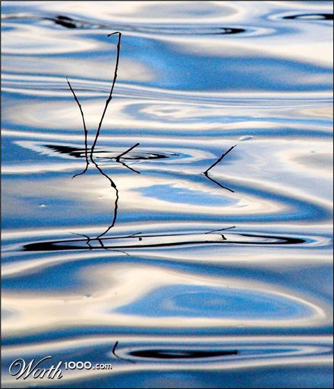 Photography by kimbomac