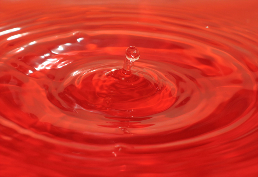 Photography by Larah McElroy for DesignCrowd (Community Contests) | Design #9020155