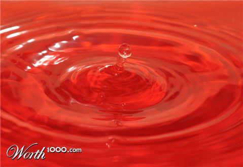 Photography by Larah McElroy