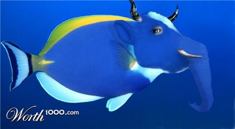 Photoshop Design by hermies1032