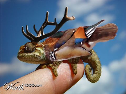 Photoshop Design by kiarobin