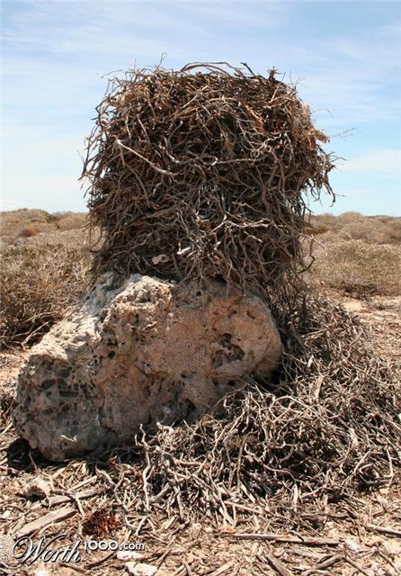 Photography by Fathom