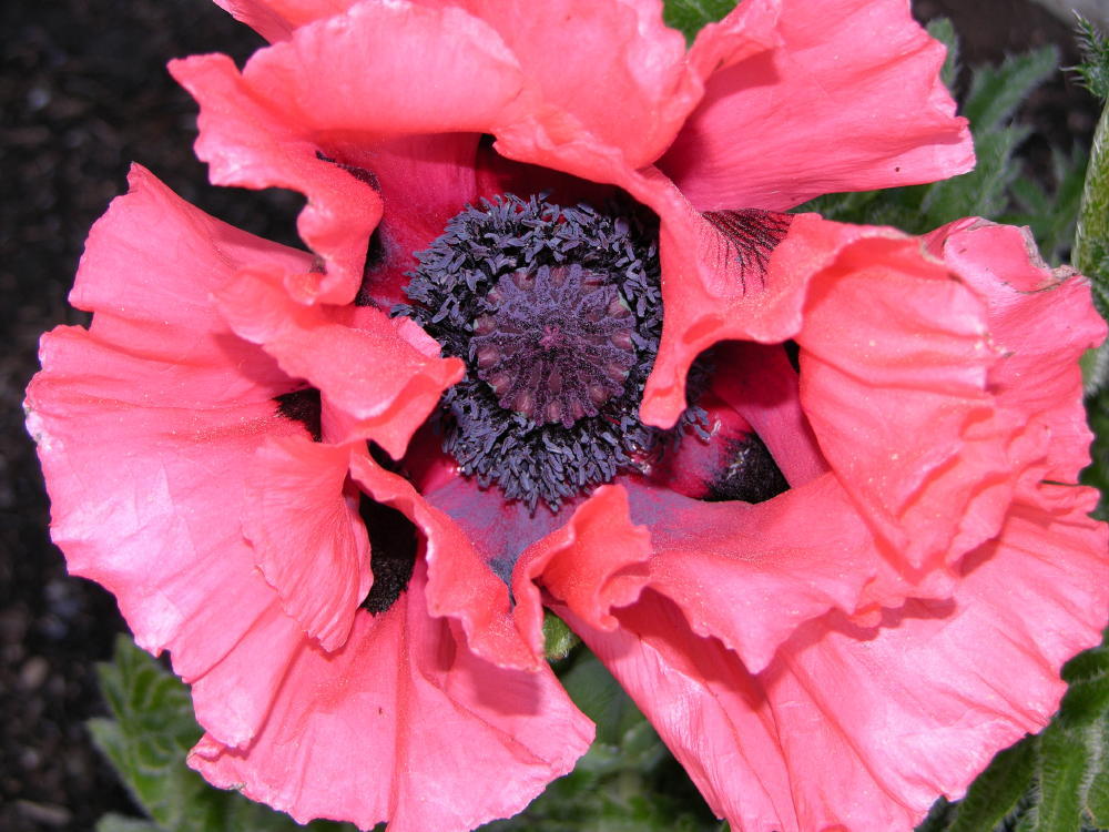 Photographie par cliknsnap pour DesignCrowd (Community Contests) | Design #9020166