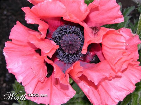 Photography by cliknsnap