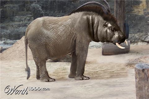 Photoshop Design by imabhi