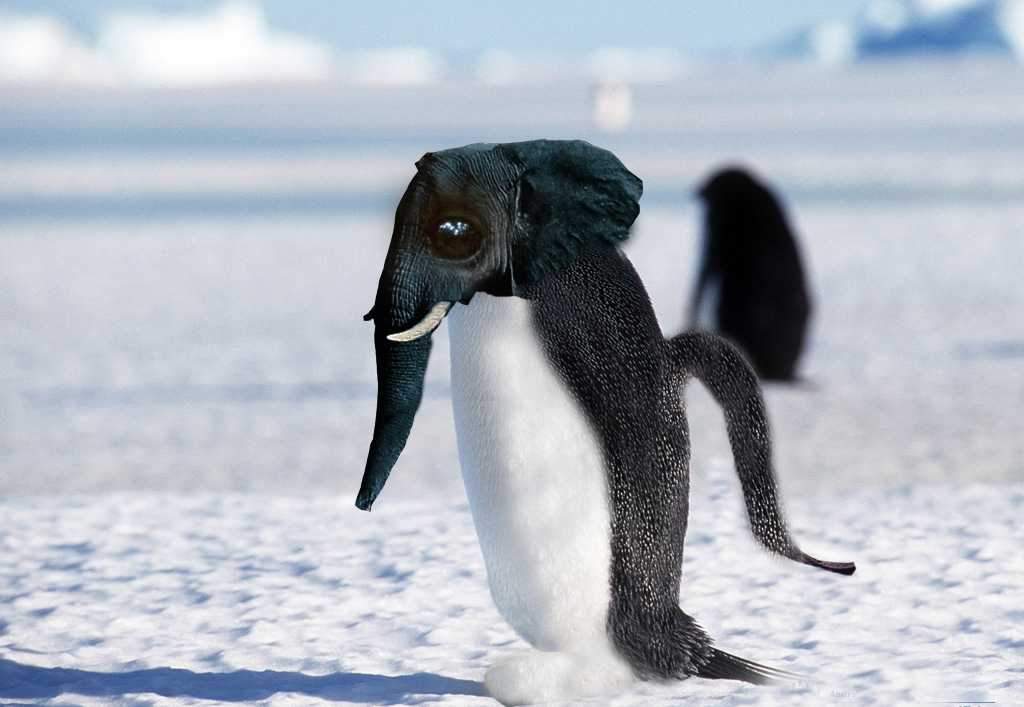 Photoshop Design by ravicreative for DesignCrowd (Community Contests) | Design #9020255