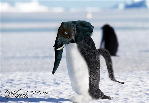 Photoshop Design by ravicreative