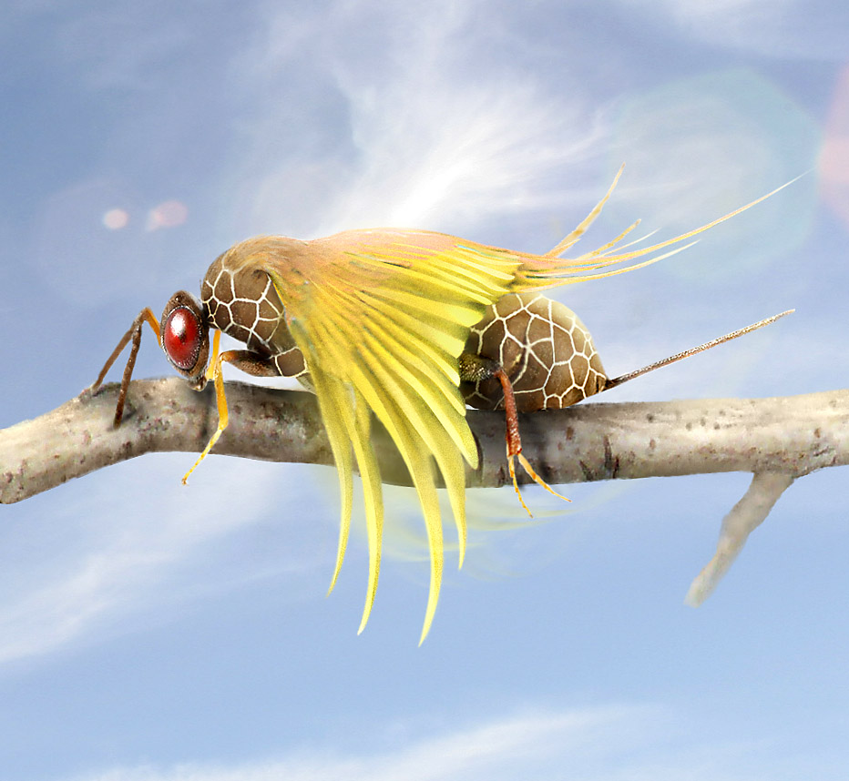 Photoshop Design by clairegodby for DesignCrowd (Community Contests) | Design #9020291