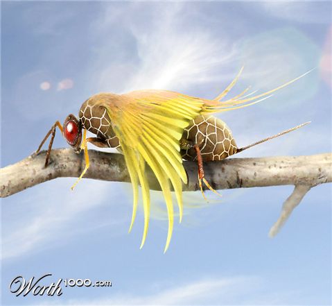 Photoshop Design by clairegodby