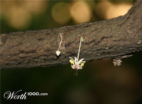 Photography by heldebaume