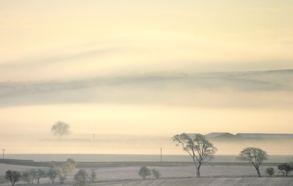 Photographie par DurhamTyke pour DesignCrowd (Community Contests) | Design #9028351