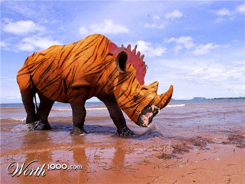 Photoshop Design by Topicon