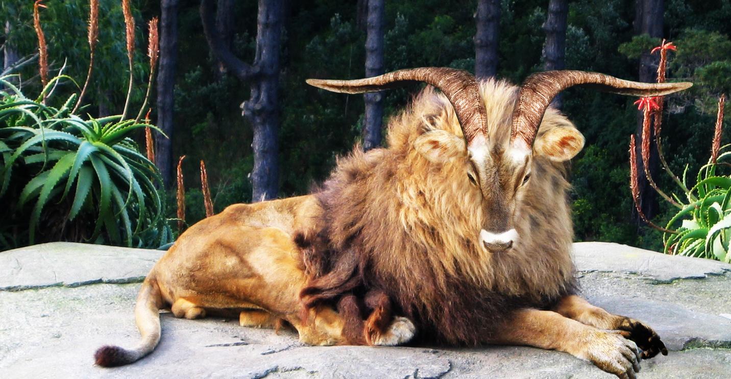 Photoshop Design by mi7sen for DesignCrowd (Community Contests) | Design #9020272