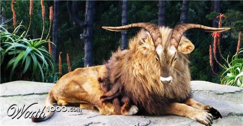 Photoshop Design by mi7sen