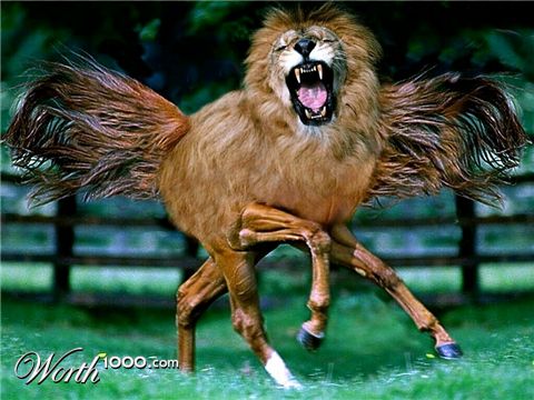Photoshop Design by BluToy