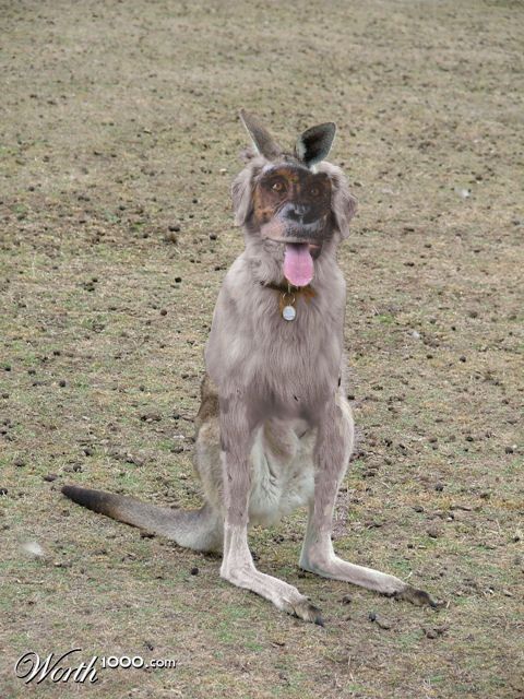 Photoshop Design by MiddyOil