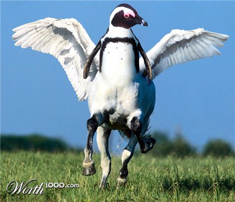 Photoshop Design by CoolKat85