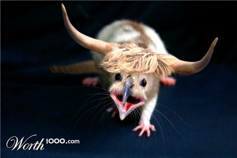 Photoshop Design by CraftLord