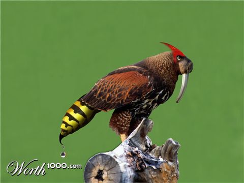 Photoshop Design by comsubin