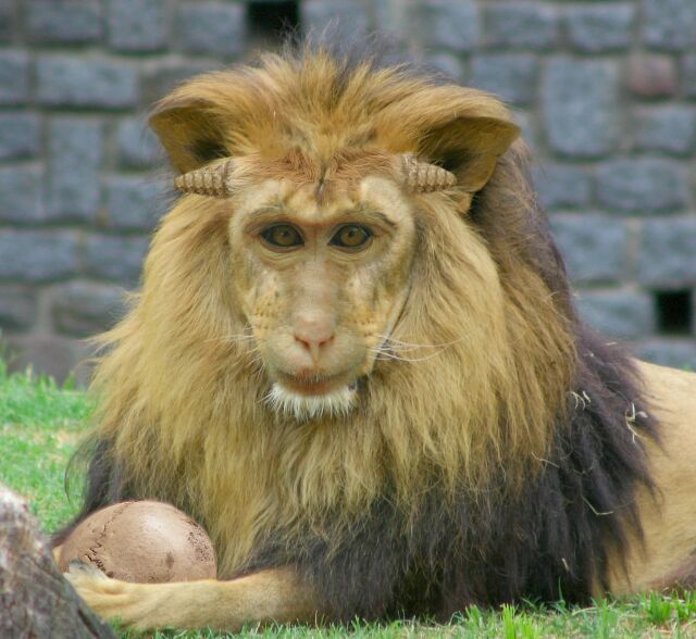 Photoshop Design by ibarra01 for DesignCrowd (Community Contests) | Design #9020338