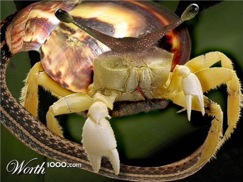 Photoshop Design by Sankrah