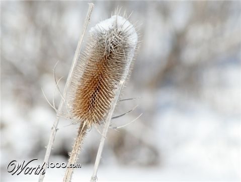 Photography by timsphotos
