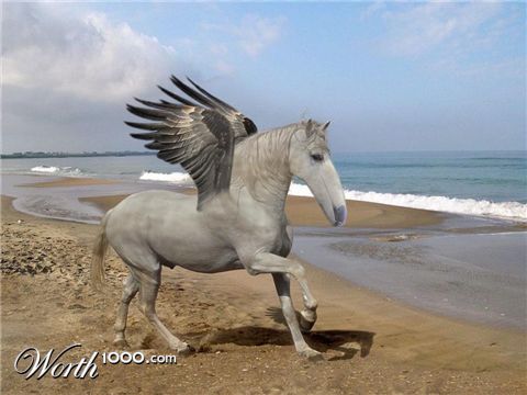 Photoshop Design by Heztone