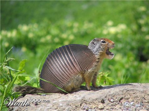 Photoshop Design by TheGreatFart